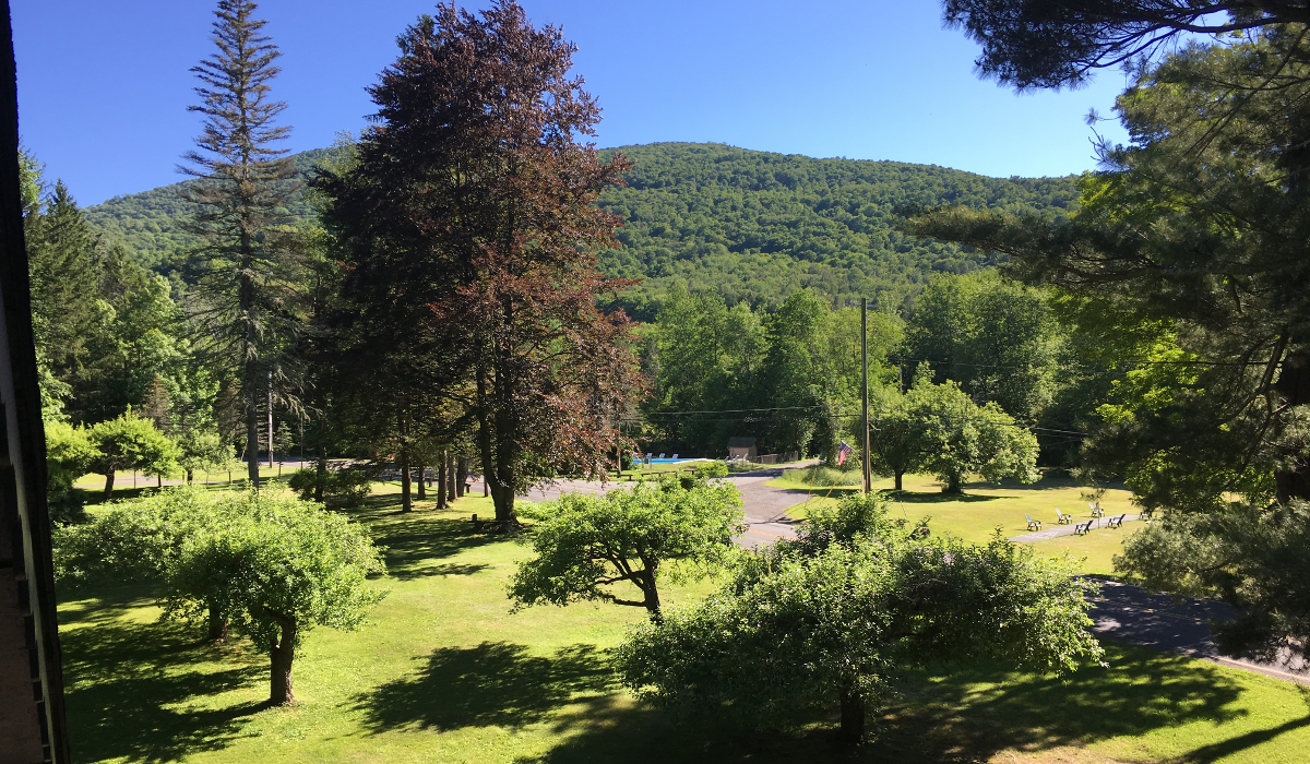Mountain Views