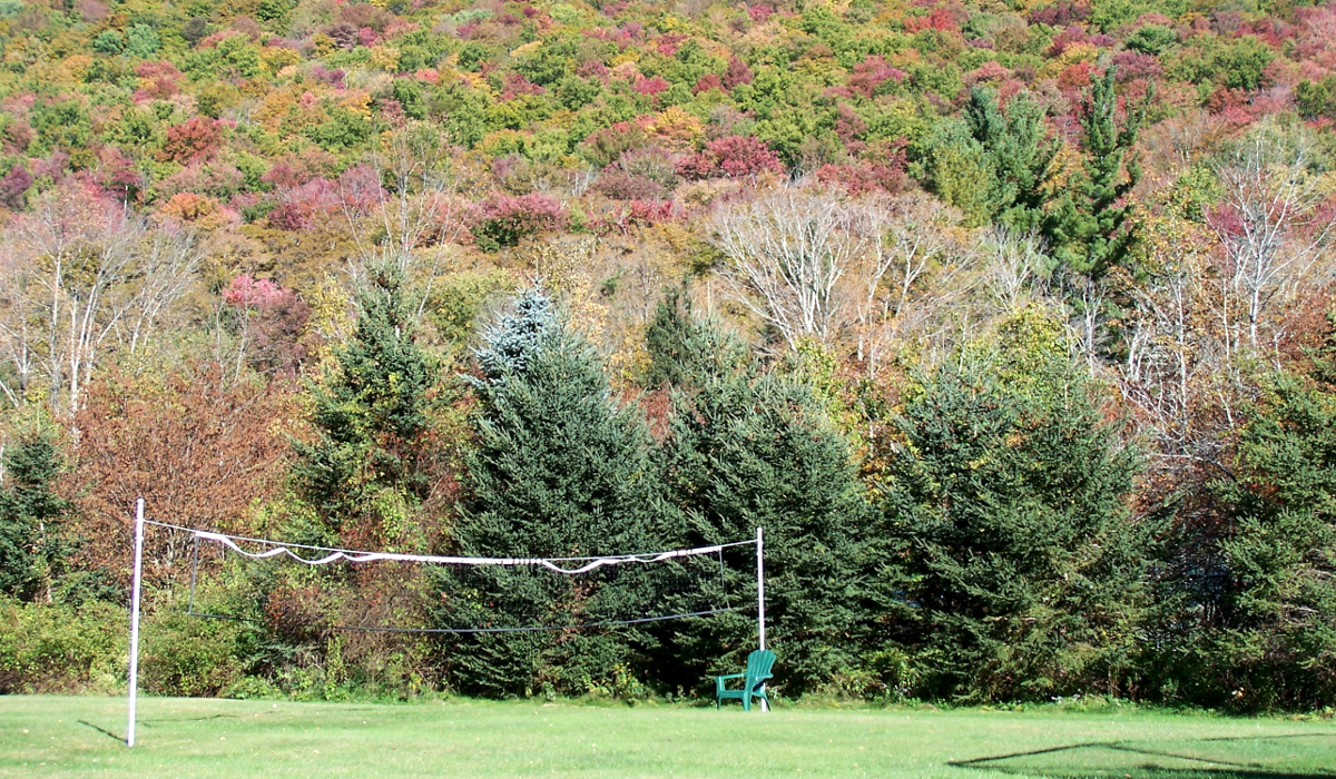 Volleyball