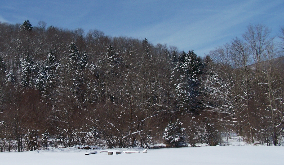 Winter Season