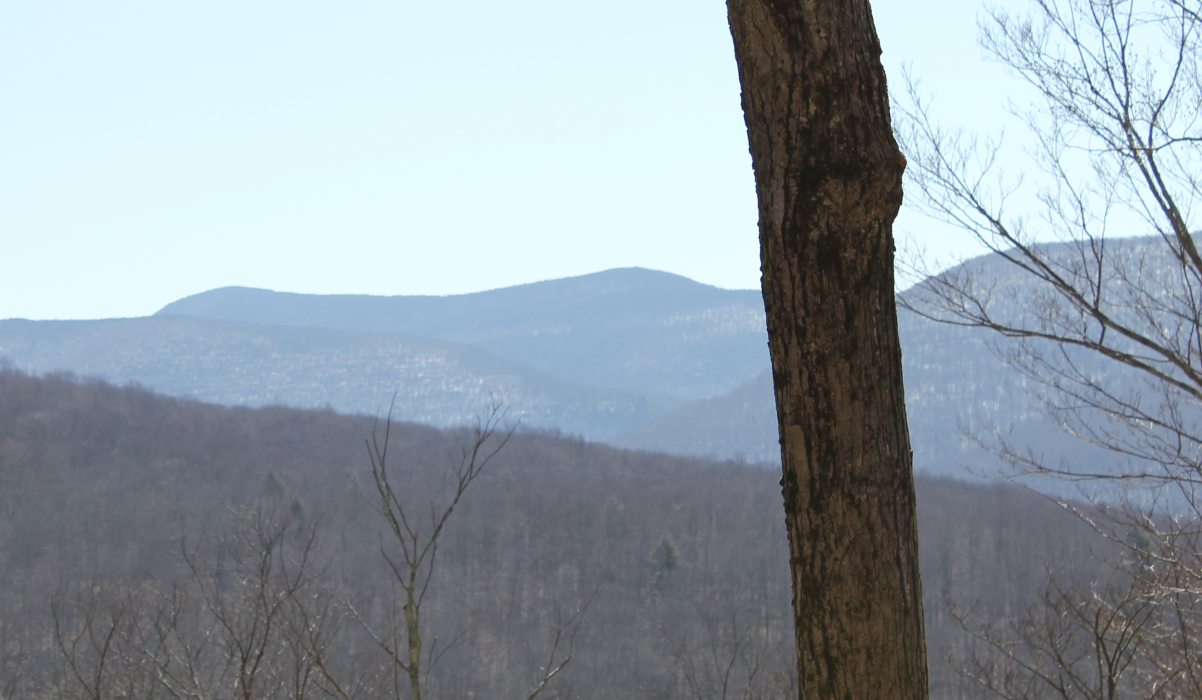 View of Slide Mountain