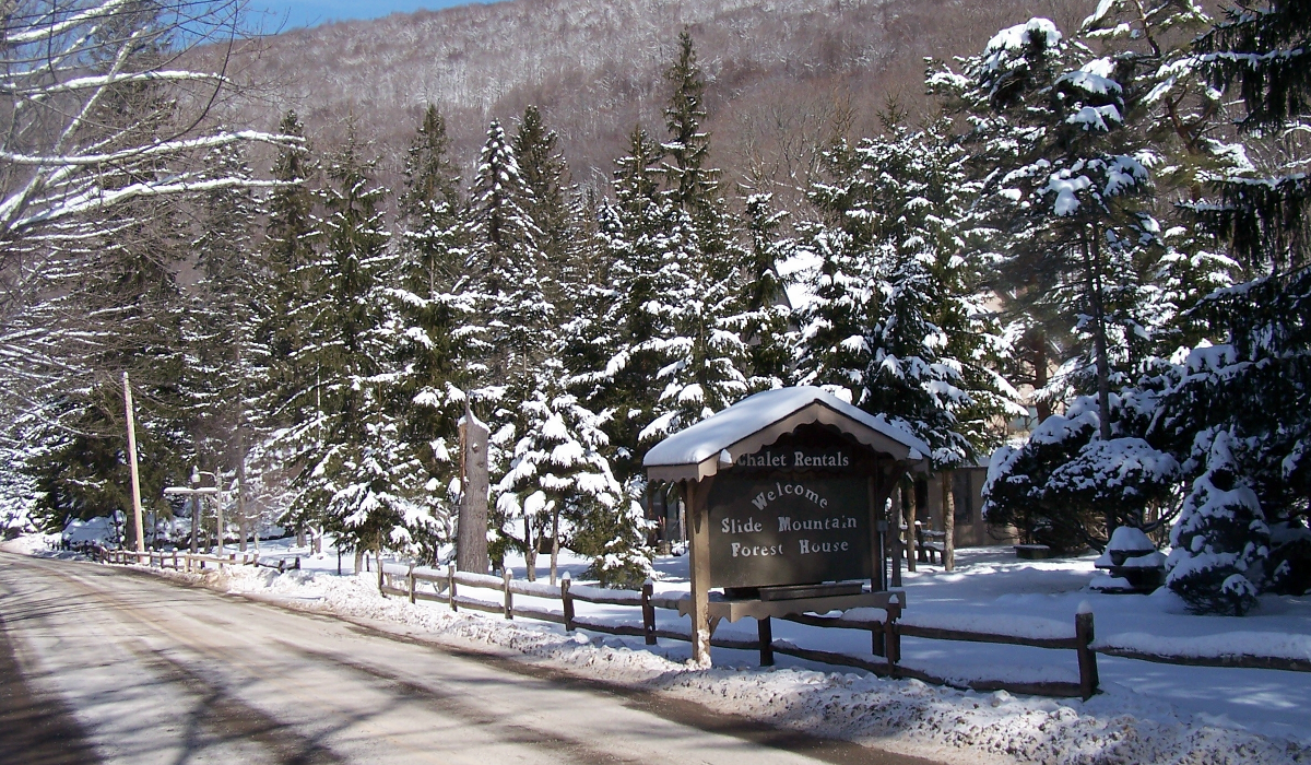Winter Delights at the Forest House