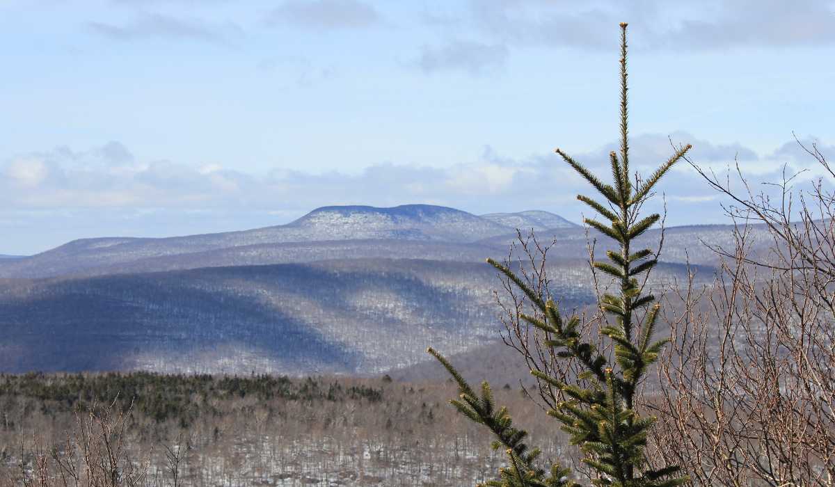 Southern Catskills from Forest Preserve trail